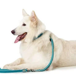 Hunter justerbar hundesnor Hilo, turkis