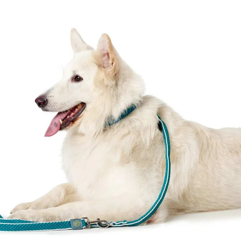 Hunter justerbar hundesnor Hilo, turkis