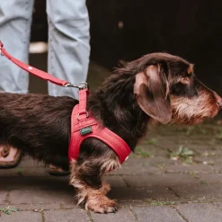HUNTER justerbar hundesnor Round & Soft Love, rød