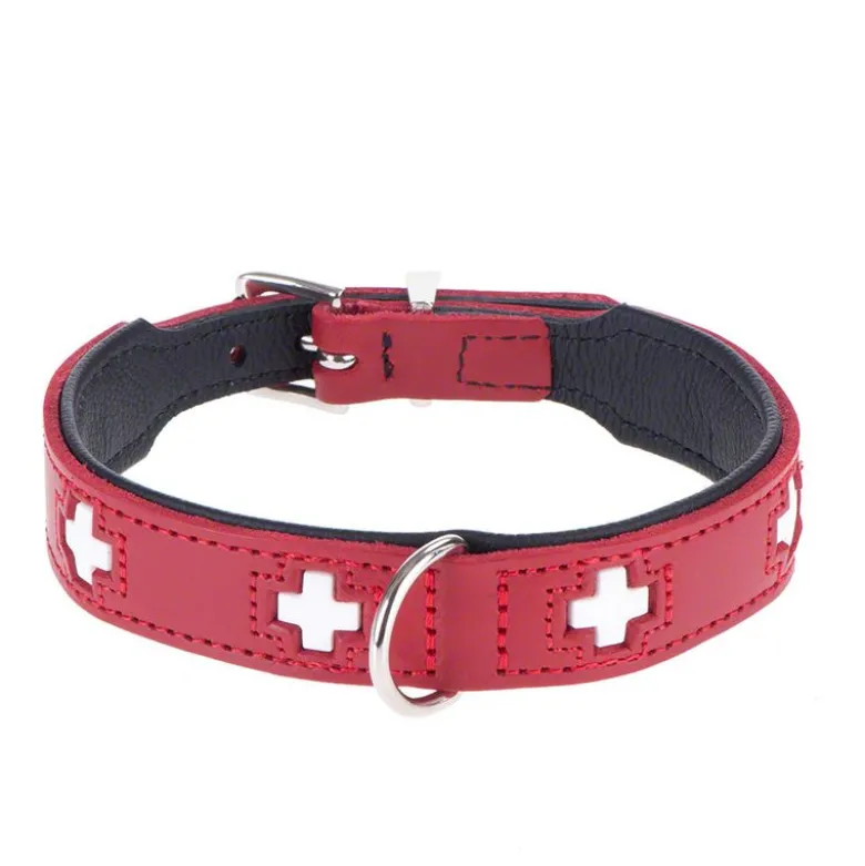 HUNTER kombisæt: Halsbånd Swiss + hundesnor Swiss