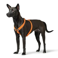 HUNTER London Vario Rapid Sele, orange