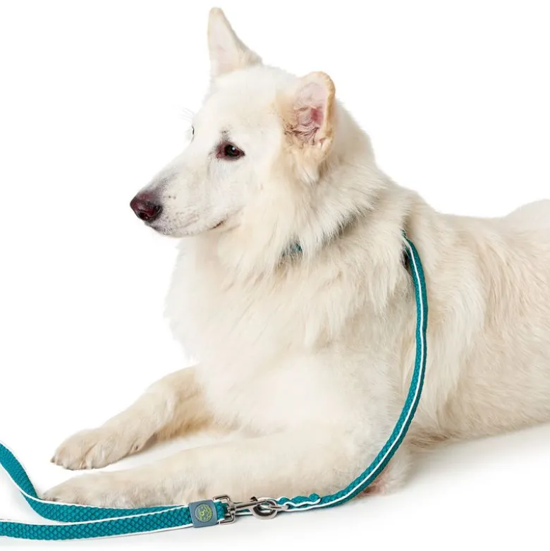 Hunter-sæt: Halsbånd Hilo Vario Basic & Justerbar hundesnor Hilo