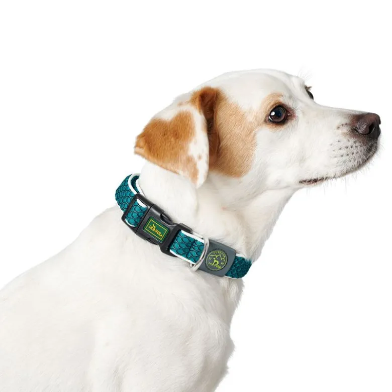 Hunter-sæt: Halsbånd Hilo Vario Basic & Justerbar hundesnor Hilo
