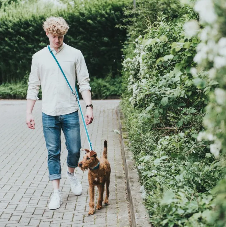 Hunter-sæt: Halsbånd Hilo Vario Basic & Justerbar hundesnor Hilo
