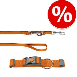 HUNTER Sæt: Halsbånd + hundesnor London, orange