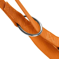 HUNTER Sæt: Halsbånd + hundesnor London, orange