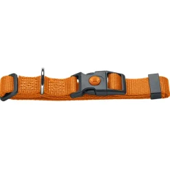 HUNTER Sæt: Halsbånd + hundesnor London, orange