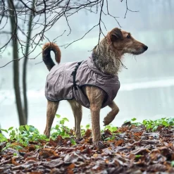 HUNTER Uppsala Hundejakke