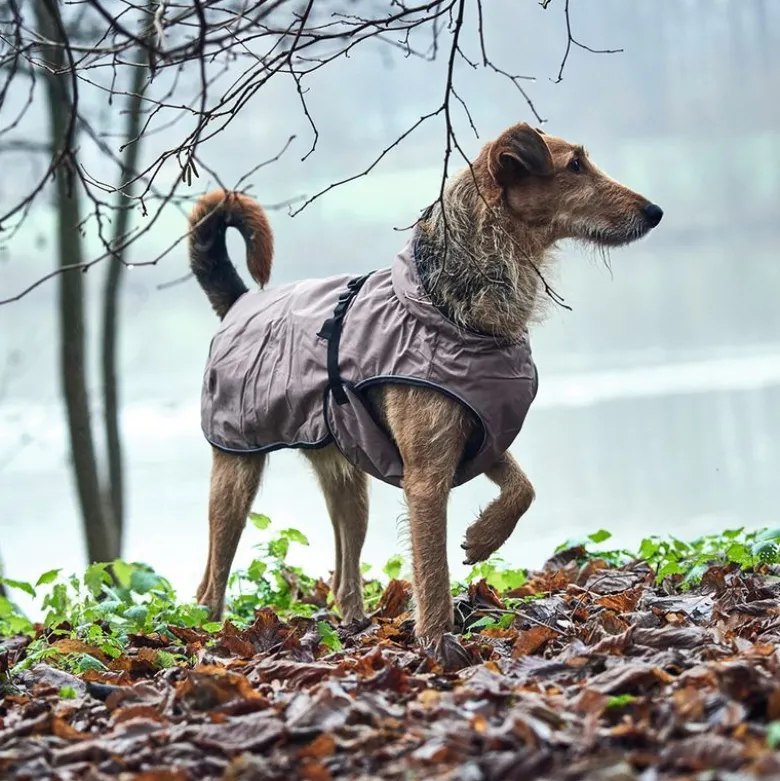 HUNTER Uppsala Hundejakke