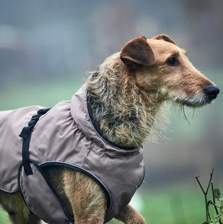 HUNTER Uppsala Hundejakke
