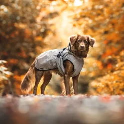 HUNTER Uppsala Hundejakke