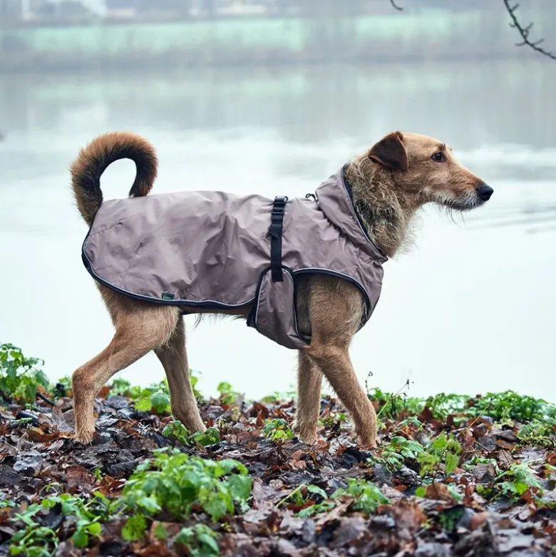 HUNTER Uppsala Hundejakke