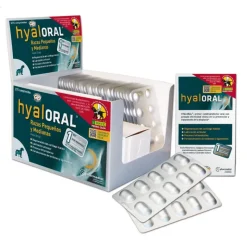 Hyaloral små og mellemstore racer