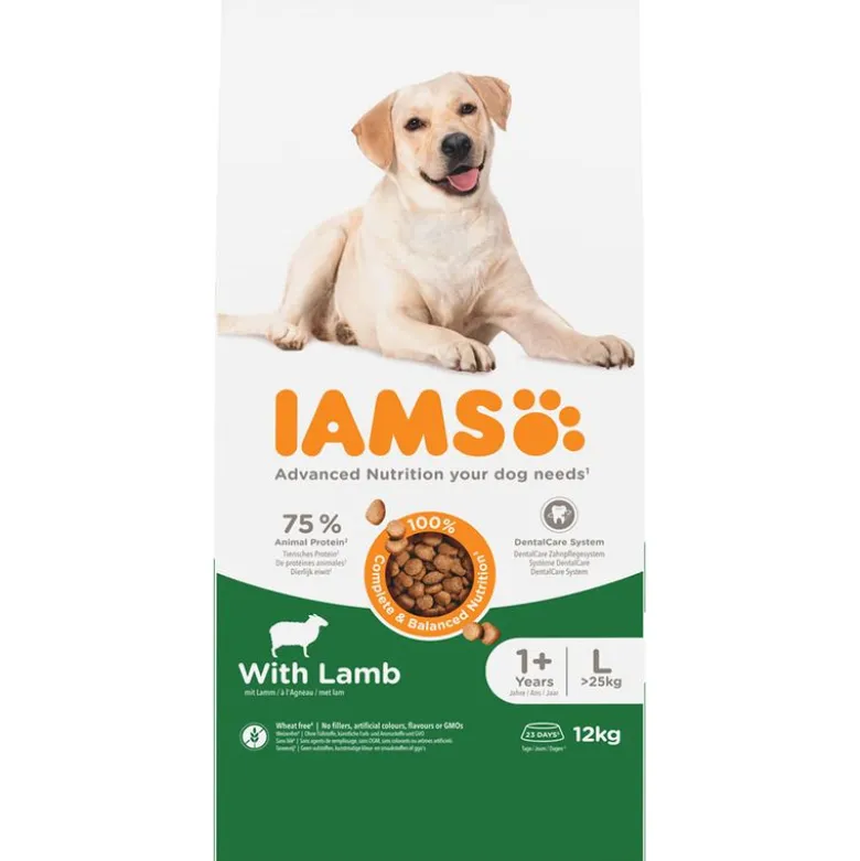 IAMS Advanced Nutrition Adult Large Dog med lam