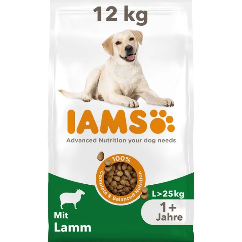 IAMS Advanced Nutrition Adult Large Dog med lam