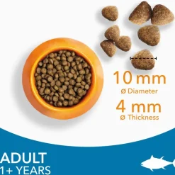 IAMS Advanced Nutrition Adult Tun