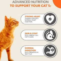 IAMS Advanced Nutrition Adult Cat med laks