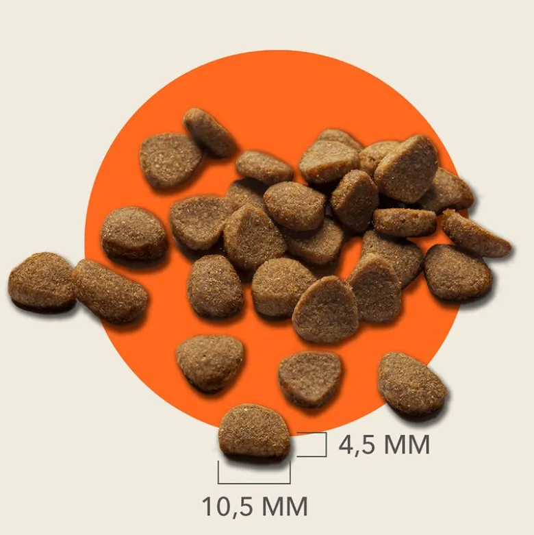 IAMS Advanced Nutrition Adult Cat med laks