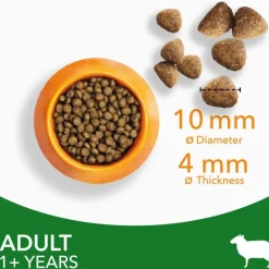 IAMS Advanced Nutrition Adult Cat med Lam