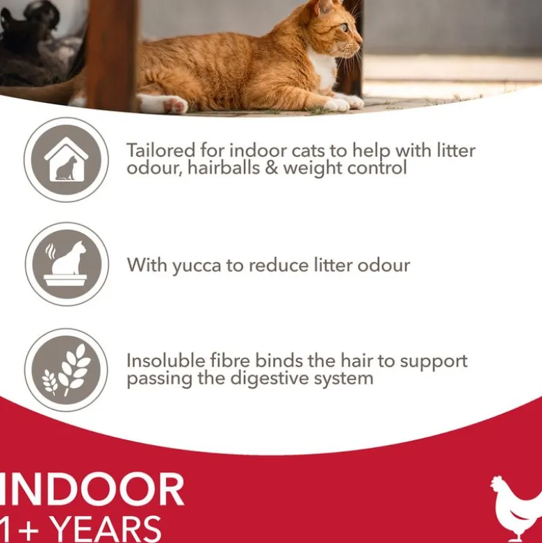 IAMS Advanced Nutrition Adult Indoor kylling