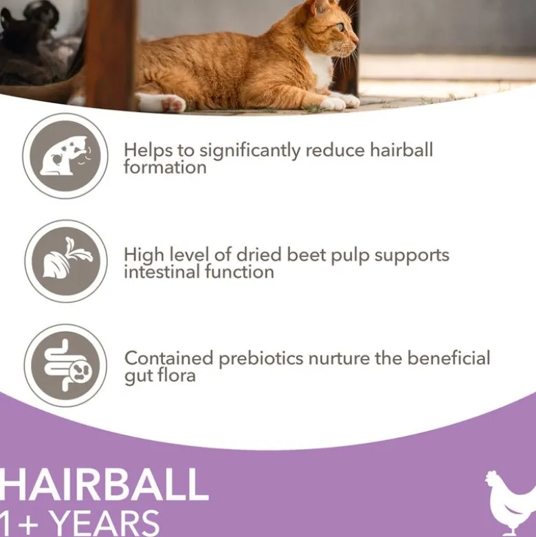IAMS Advanced Nutrition Hairball med Kylling