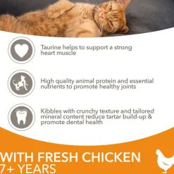 IAMS Advanced Nutrition Senior Cat med Kylling