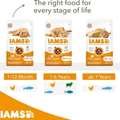 IAMS Advanced Nutrition Senior Cat med Kylling