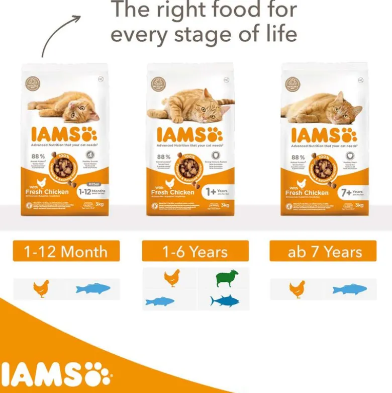 IAMS Advanced Nutrition Senior Cat med Kylling