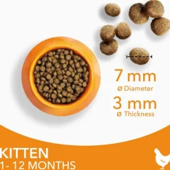 IAMS for Vitality Kitten med Kylling