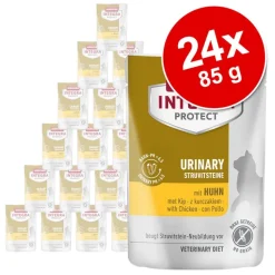 Integra Protect Adult Urinsten 24 x 85 g portionspose