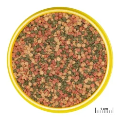 JBL ProNovo Bel Grano M