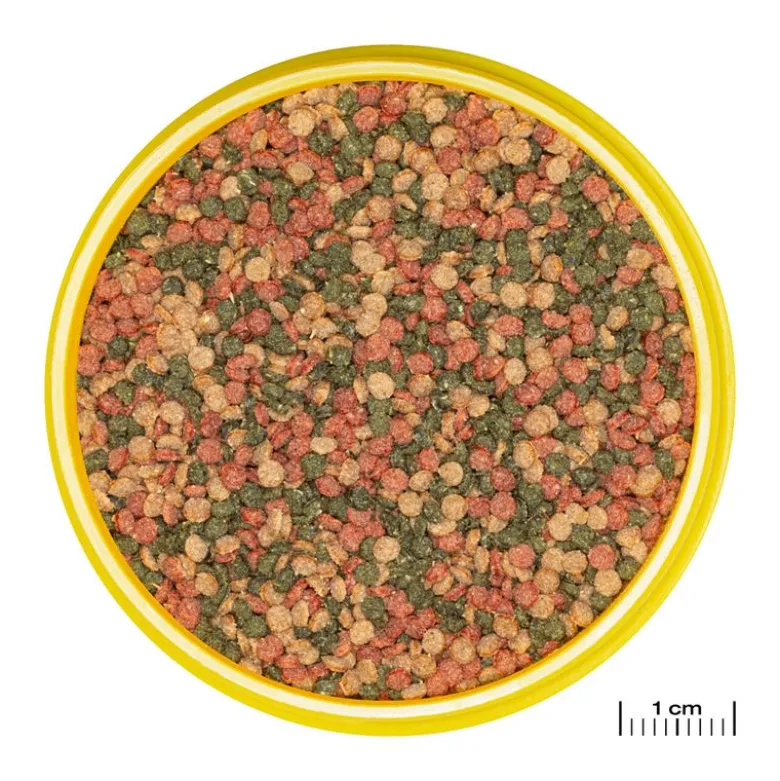 JBL ProNovo Bel Grano M