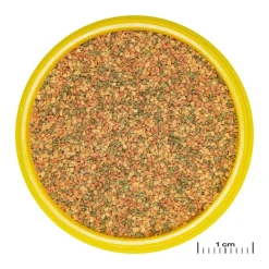 JBL ProNovo Bel Grano XS