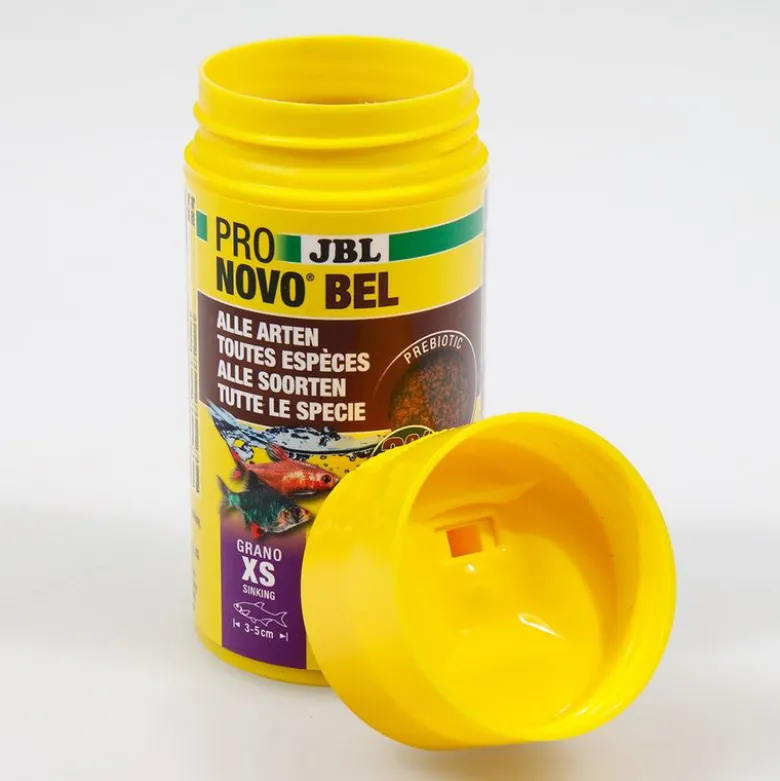 JBL ProNovo Bel Grano XS