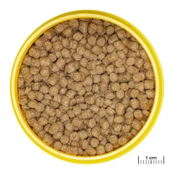 JBL ProNovo Lotl Grano M