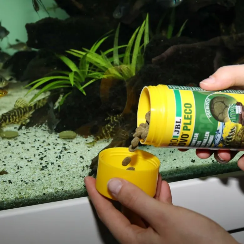 JBL ProNovo Pleco Wafer M