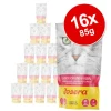 Josera Paté Gulasch 16 x 85 g