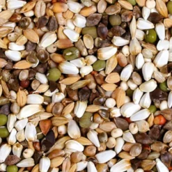 JR Farm Fresh! Spiret mad til papegøje