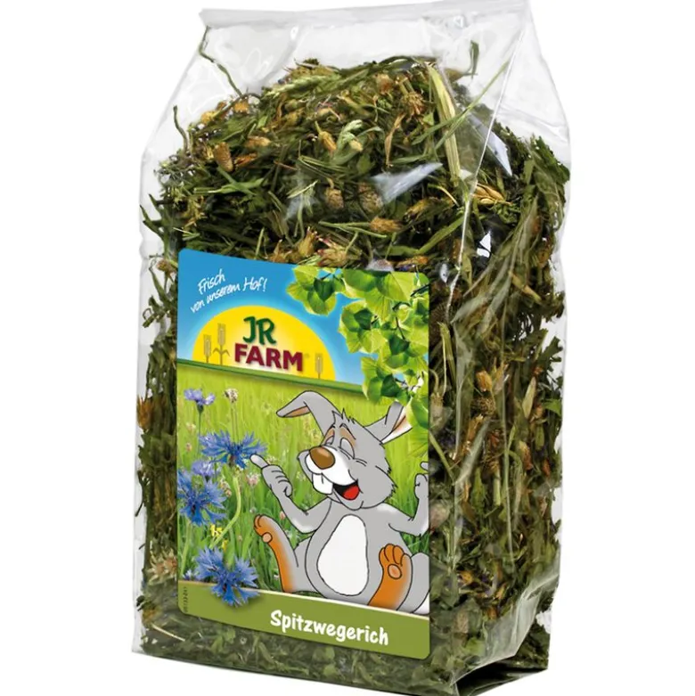JR Farm Spitzwegerich