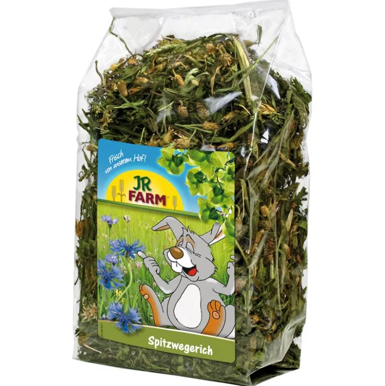 JR Farm Spitzwegerich