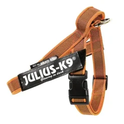 Julius-K9 IDC® Color & Grå sele, orange/grå