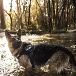JULIUS-K9 IDC® hundesele, camouflage