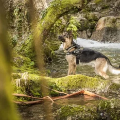 JULIUS-K9 IDC® hundesele, camouflage