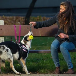 Julius-K9 IDC hundesele, mørk pink