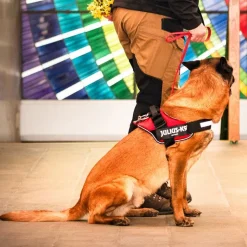 JULIUS-K9 IDC® hundesele - rød