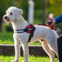 JULIUS-K9 IDC® hundesele - rød