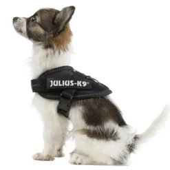JULIUS-K9 IDC® hundesele sort