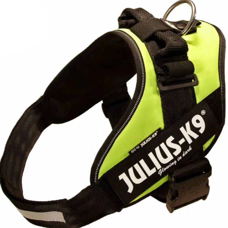 Julius-K9 IDC®-Powersele - neon grøn