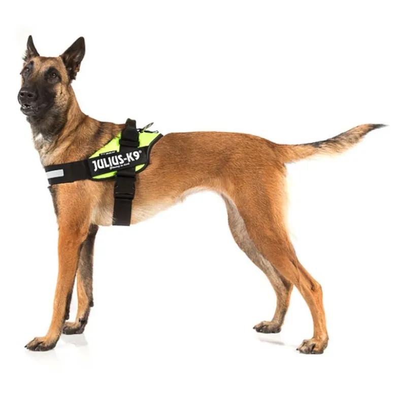 Julius-K9 IDC®-Powersele - neon grøn