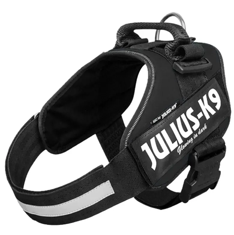 JULIUS-K9 IDC® sæt: sort hundesele + gummieret dobbeltsnor
